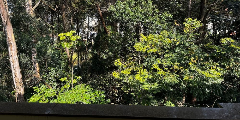 PHOTO-2024-08-16-09-21-48 2