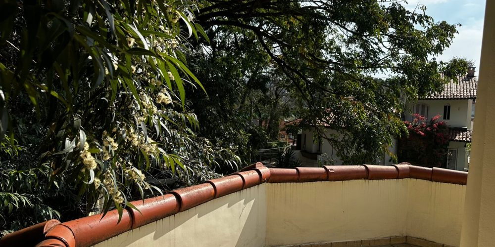 PHOTO-2024-08-16-09-21-50