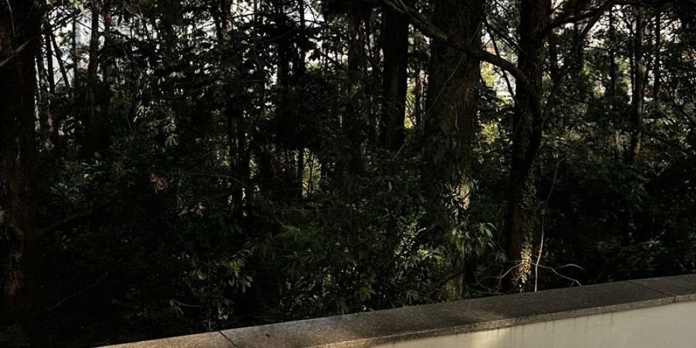 PHOTO-2024-08-16-09-22-27